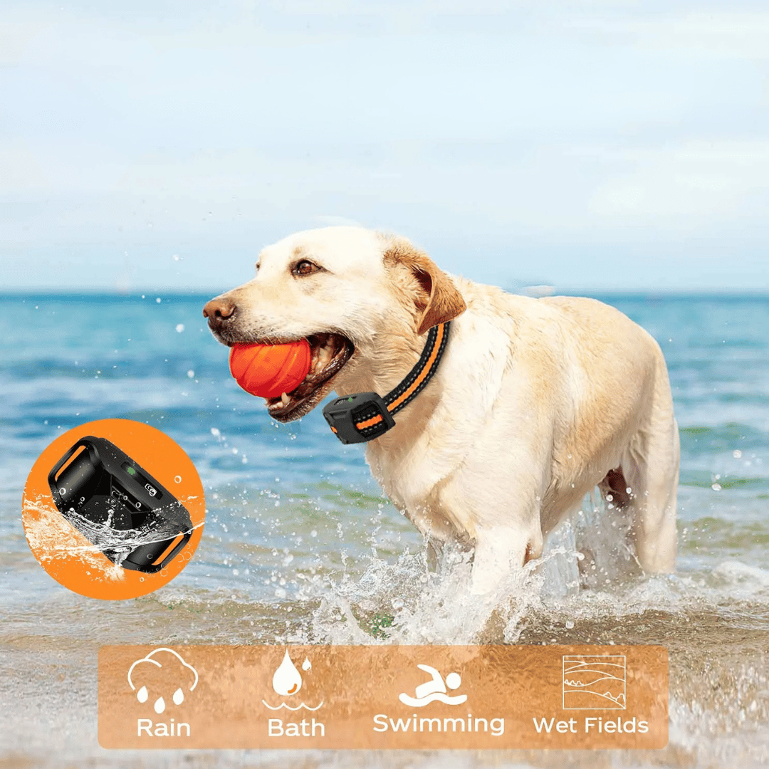 Dog Training Collar 1000m Remote Rechargeable Waterproof Sound Vibration Static Small Medium Large E-Collar Recall Off-Lead Control | Koossa
