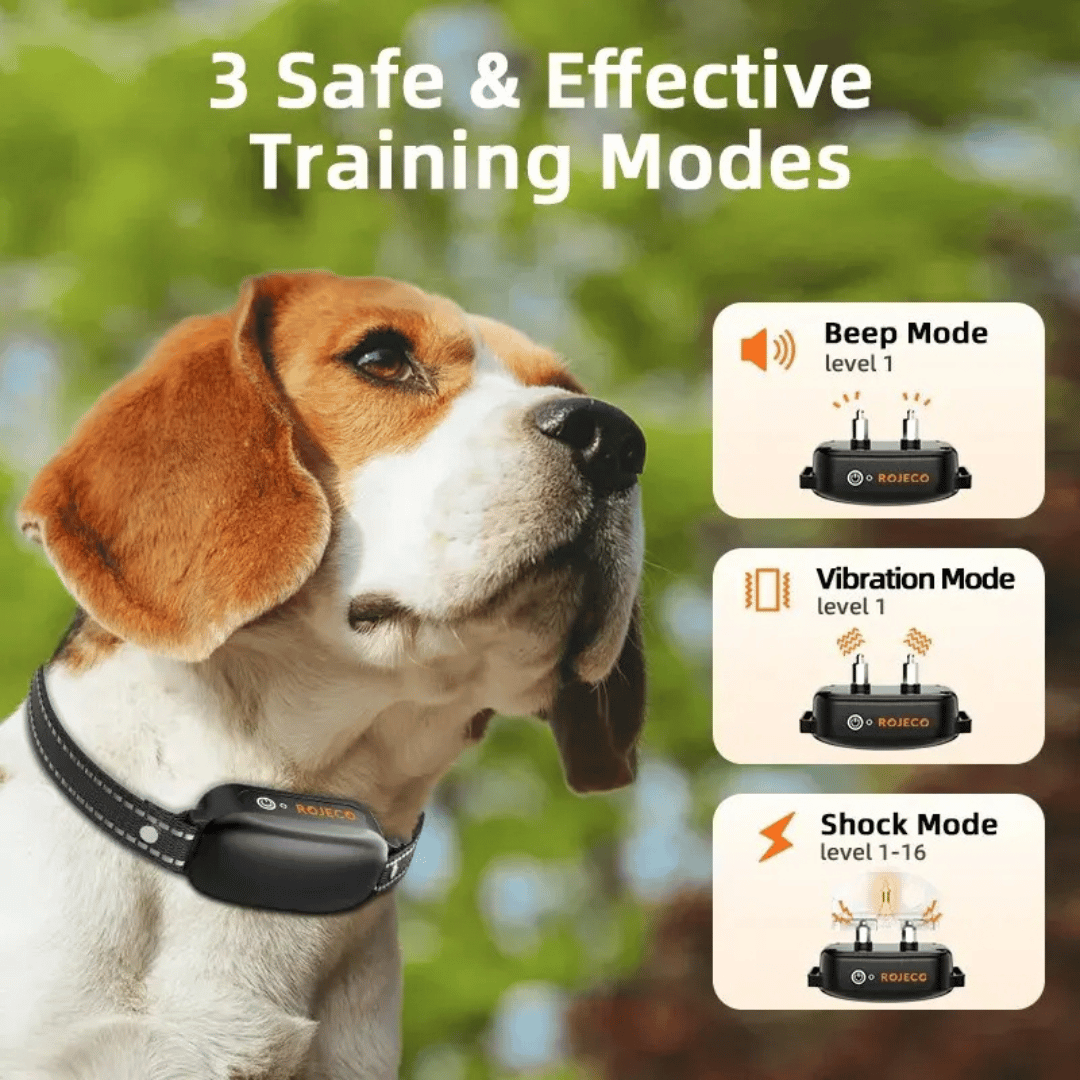 Dog Training Collar 1000m Long Range Remote Rechargeable Waterproof Sound Vibration Static Small Medium Large E-Collar Recall | Koossa