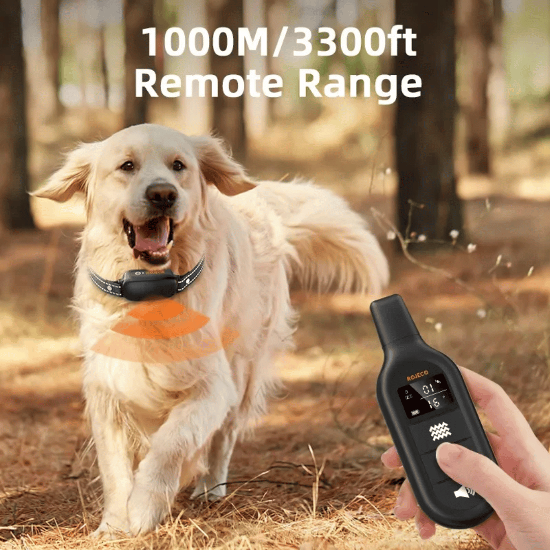 Dog Training Collar 1000m Long Range Remote Rechargeable Waterproof Sound Vibration Static Small Medium Large E-Collar Recall | Koossa