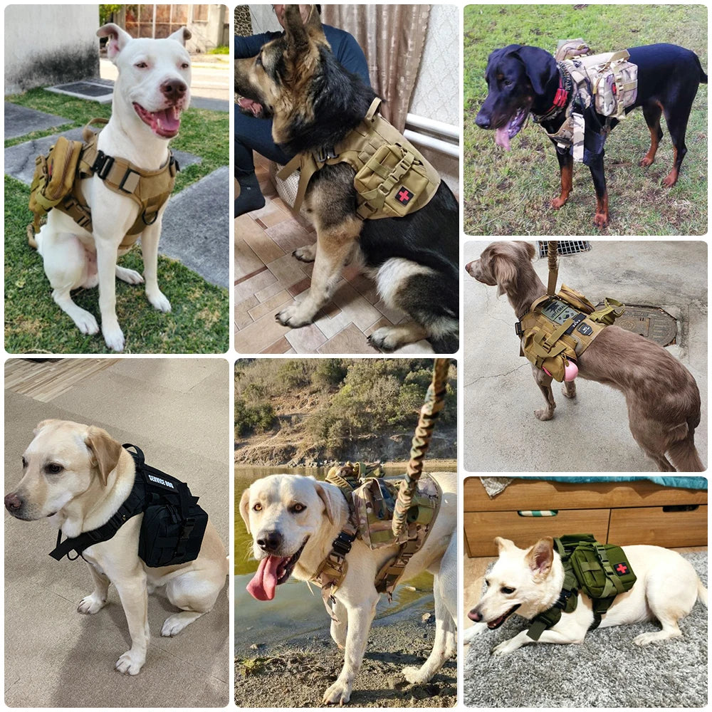 Tactical Dog Harness Heavy Duty Handle 1050D Nylon MOLLE No-Pull Adjustable Large Breeds Training Outdoor Walking Harness Metal D-Ring | Koossa