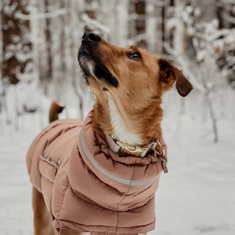 Dog Padded Jacket Vest Polyester Windproof Waterproof S to XL Whippet Greyhound Winter Coat Zip Button | Koossa