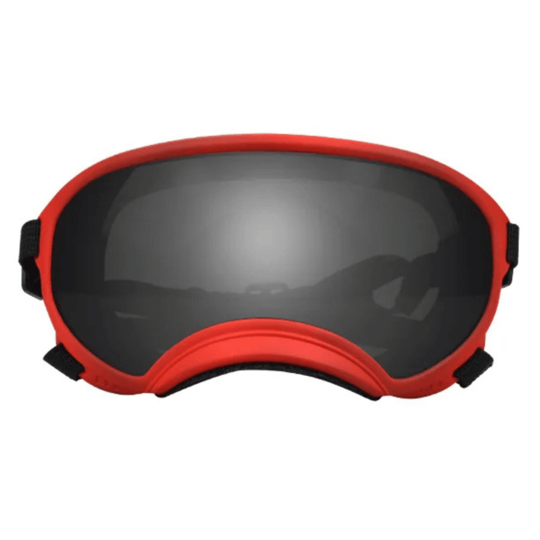 Dog Goggles UV Protection Adjustable Windproof Scratch-Resistant Small Medium Large Dog Sunglasses Outdoor Eye Protection Hiking | Koossa