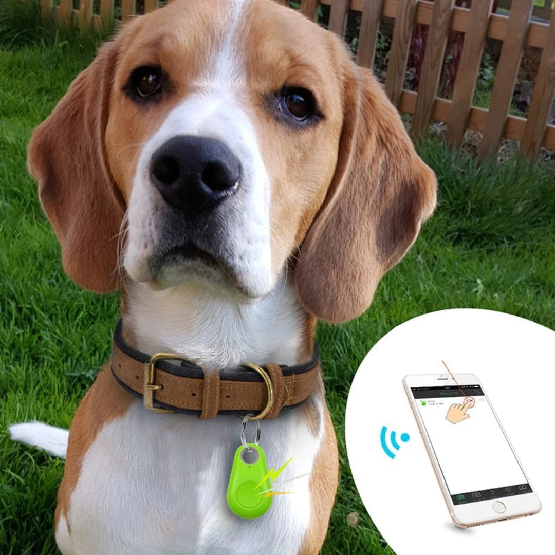 Compact GPS Tracker for Kids, Pets, Luggage & Bikes – Real-Time Location Device with Geofencing Alerts, iOS & Android App | Lonoma