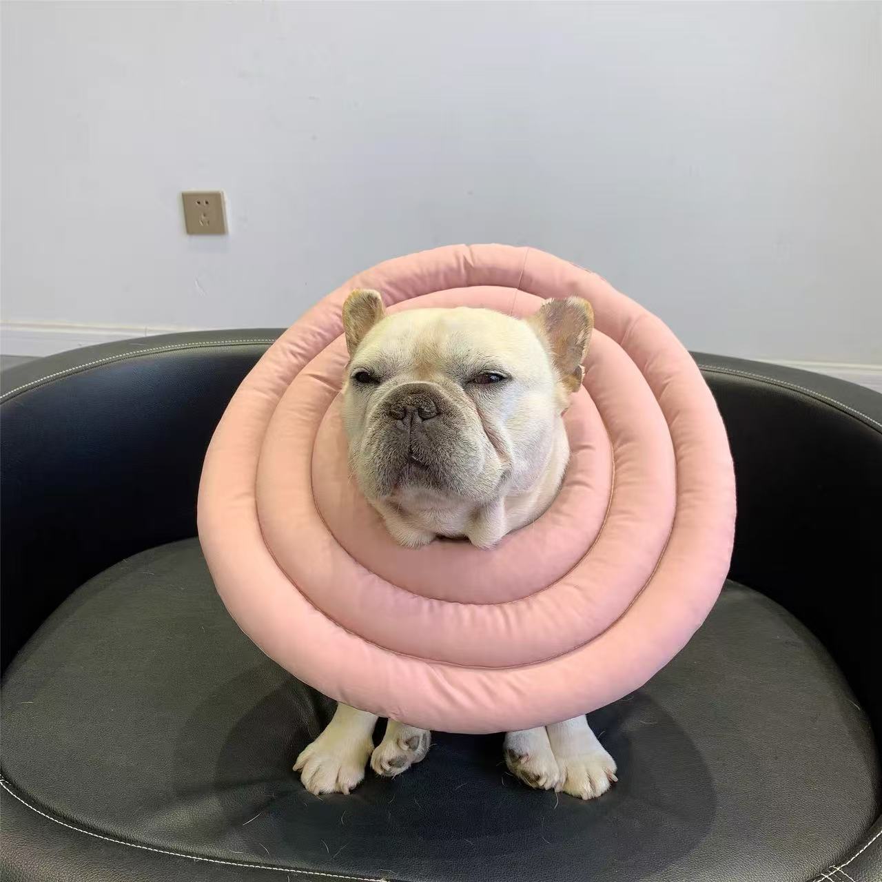 Recovery Cone Adjustable Soft Cotton Dog Cat E-Collar Post-Surgery Wound Protection Buster Collar Elizabethan Collar Pet | Koossa
