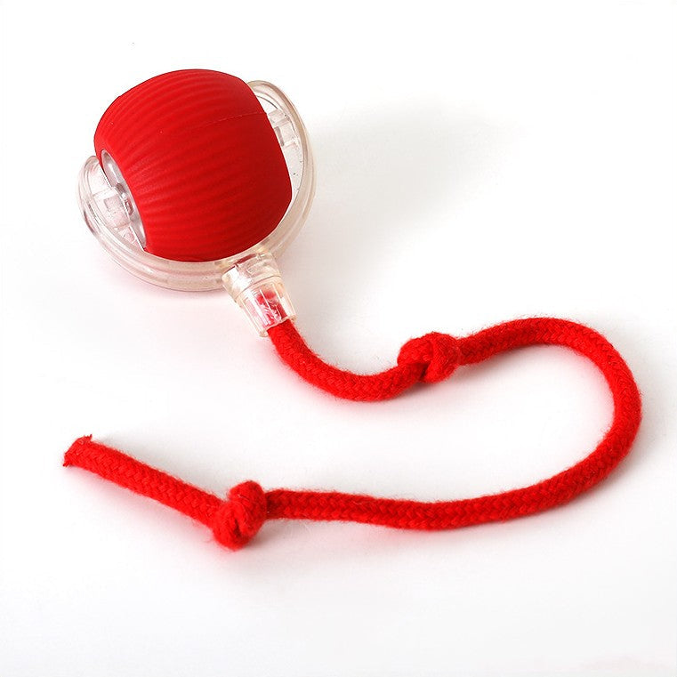 Dog Toy Interactive Rolling Ball Automatic Movement Plush Tail USB Rechargeable Self-Rolling Chaser Fetch Play Indoor | Koossa