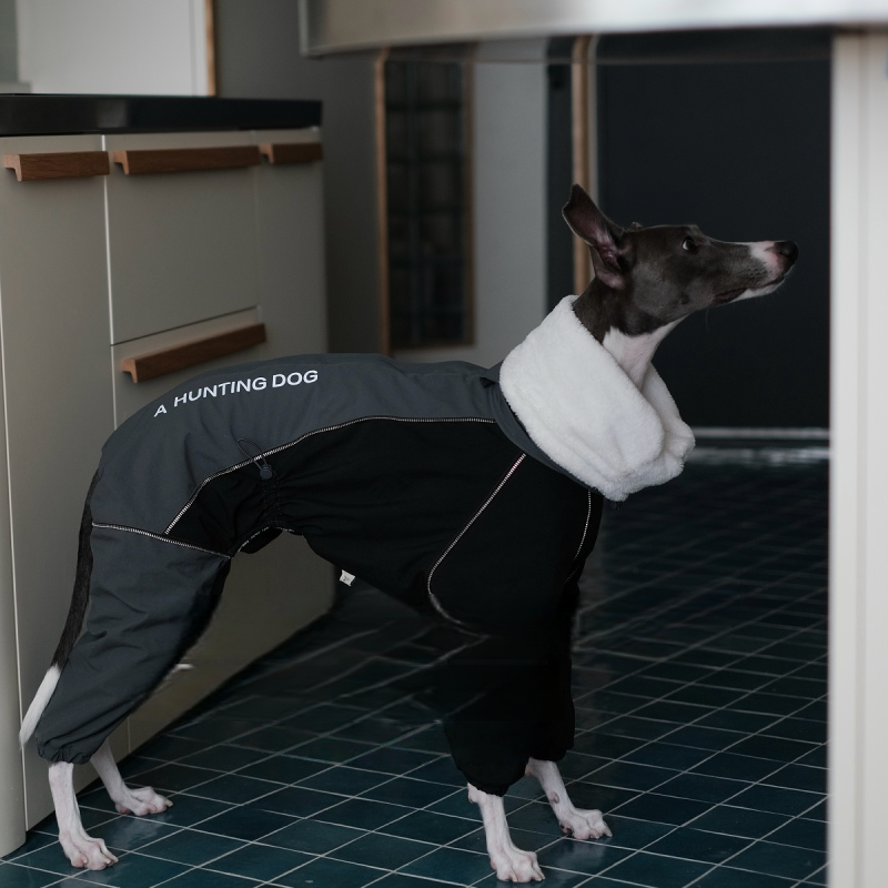 Dog Winter Onesie Fleece Lined Waterproof Whippet Greyhound Sizes 1–10 Leash Opening Windproof Suit | Koossa