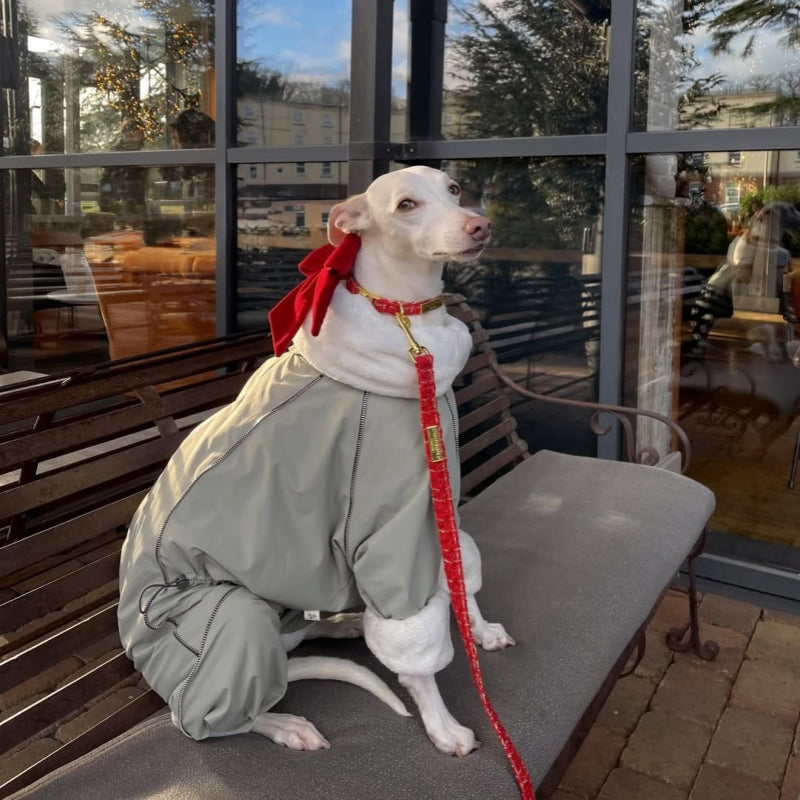 Dog Winter Onesie Fleece Lined Waterproof Whippet Greyhound Sizes 1–10 Leash Opening Windproof Suit | Koossa