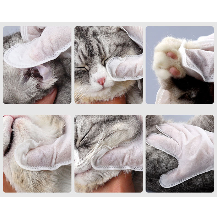 Pet Disposable Glove Wipes 6 18 36 Pieces Waterless Paw Fur Clean Cat Dog Grooming Mitt No Rinse Hygiene Wipe | Koossa