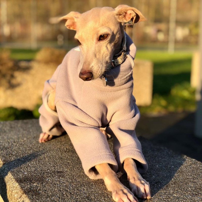 Dog Fleece Onesie Turtleneck Loose Fit Whippet Greyhound XS to XXL Four-Leg Jumpsuit Iggy Winter Clothes | Koossa