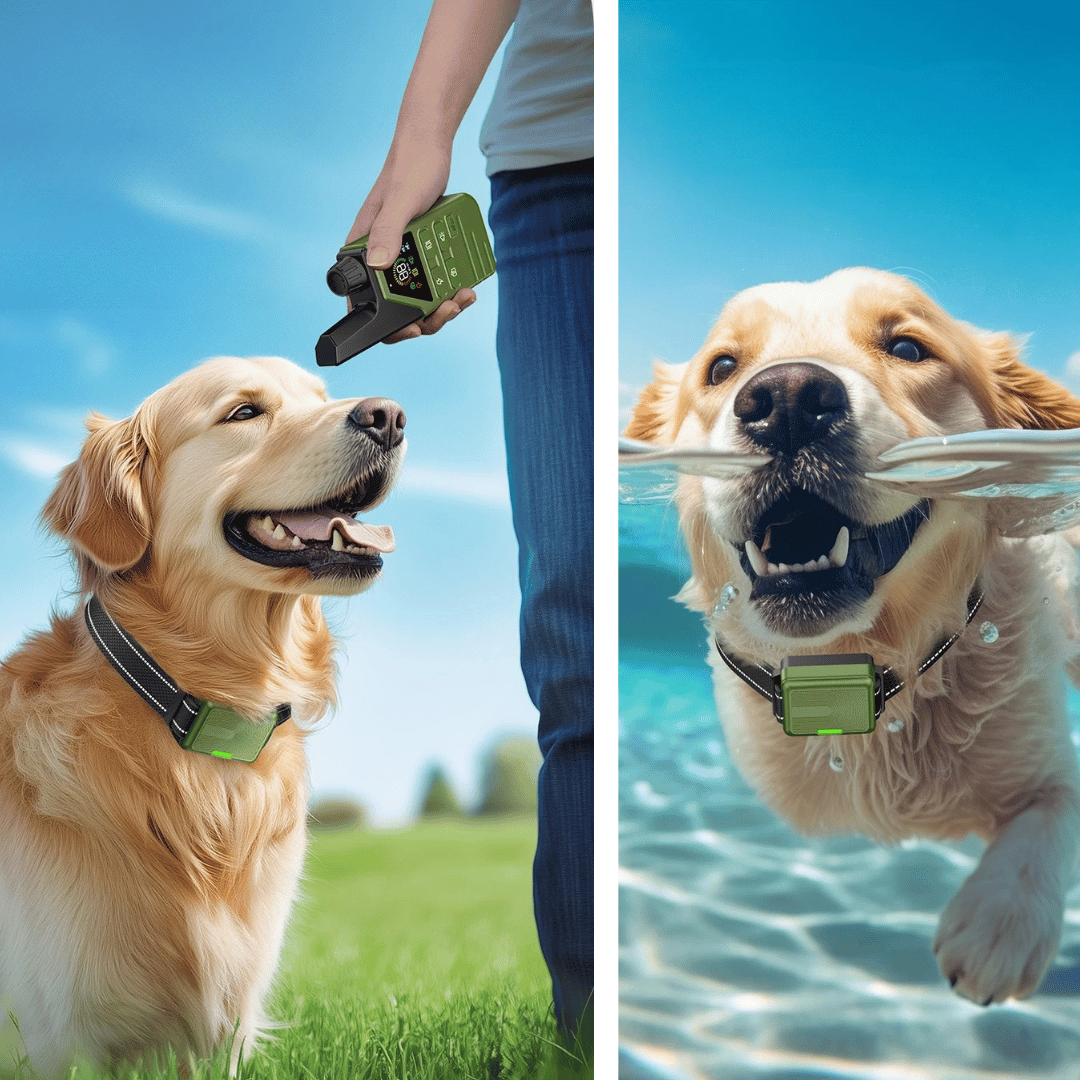 Dog Training Collar 300m Remote Waterproof Rechargeable Beep Vibration Static Small Large Dogs USB-C | Koossa
