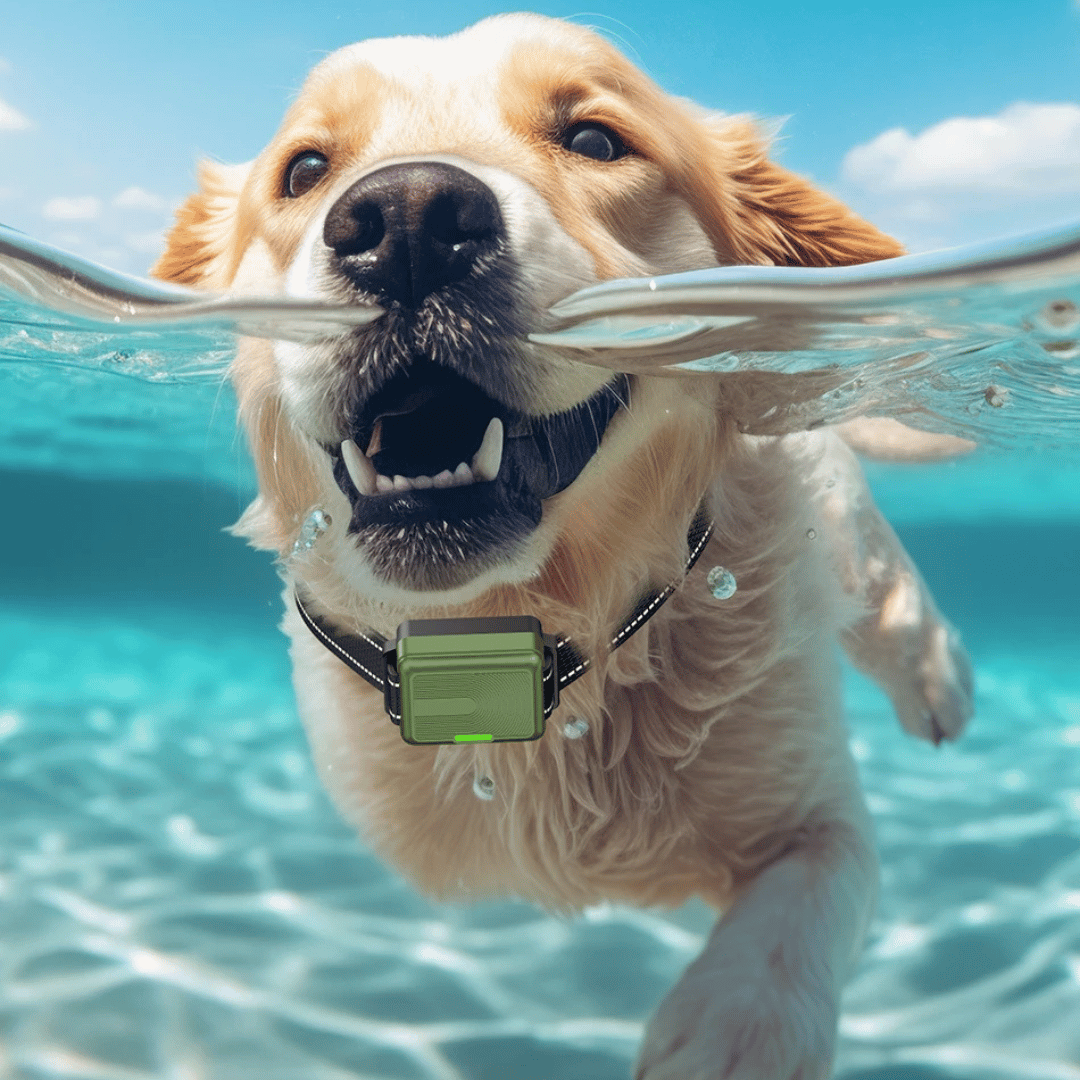 Dog Training Collar 300m Remote Waterproof Rechargeable Beep Vibration Static Small Large Dogs USB-C | Koossa