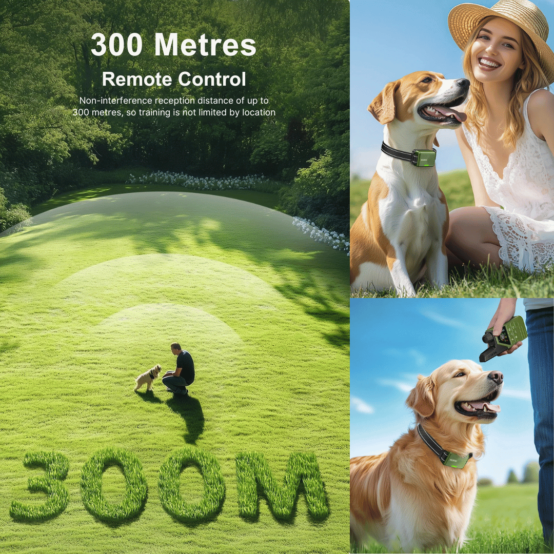 Dog Training Collar 300m Remote Waterproof Rechargeable Beep Vibration Static Small Large Dogs USB-C | Koossa
