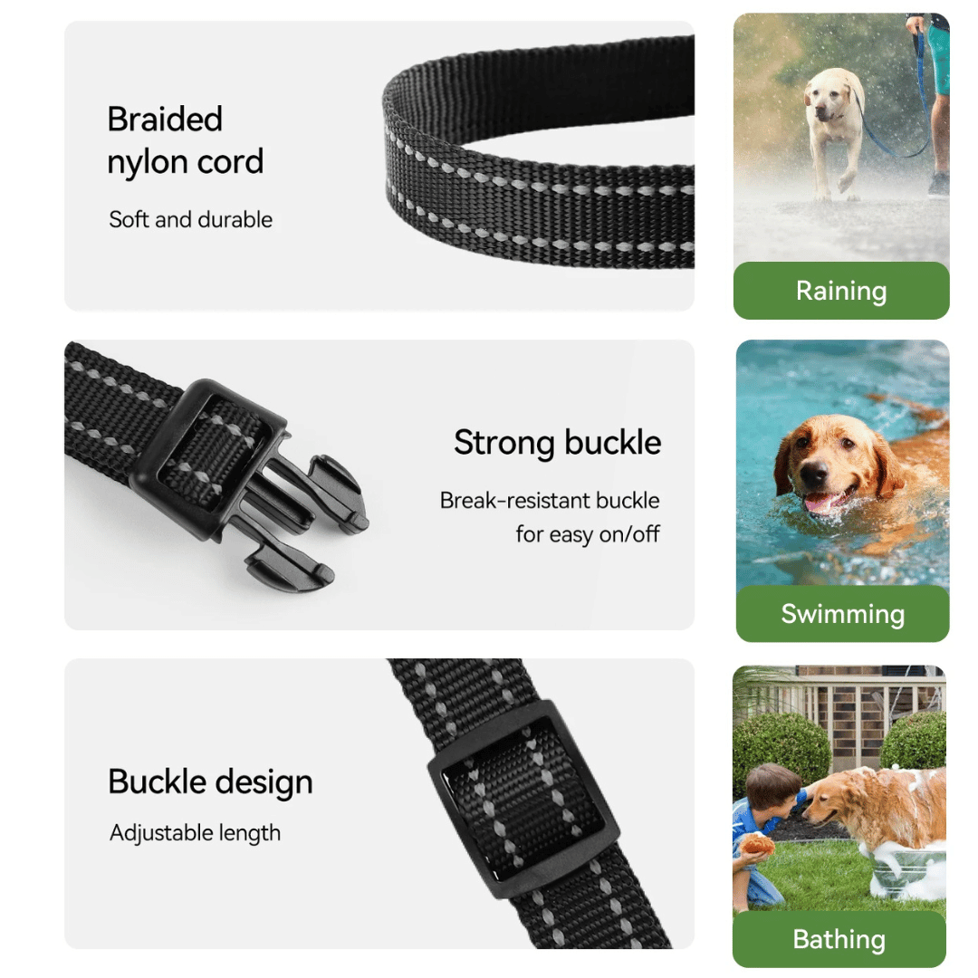 Dog Training Collar 300m Remote Waterproof Rechargeable Beep Vibration Static Small Large Dogs USB-C | Koossa