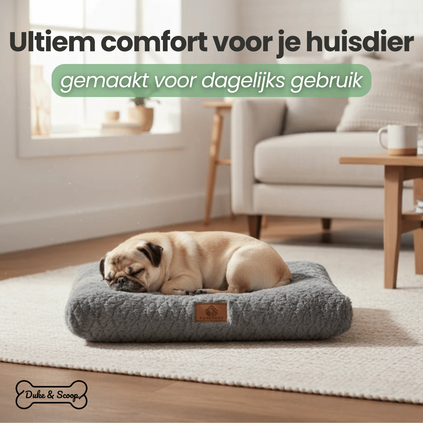 Dog Cushion Bed Orthopaedic Foam Washable Cover M L XL XXL Crate Mat Senior Dogs Joint Support Non-Slip | Koossa