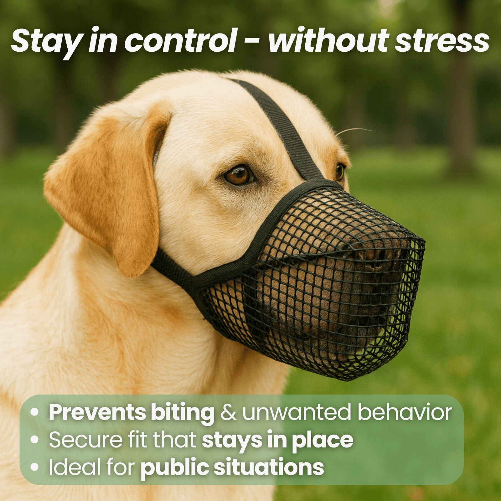 Dog Muzzle Soft Mesh Breathable Adjustable XS S M L XL Drink-Friendly Foldable Public Transport Safe | Koossa