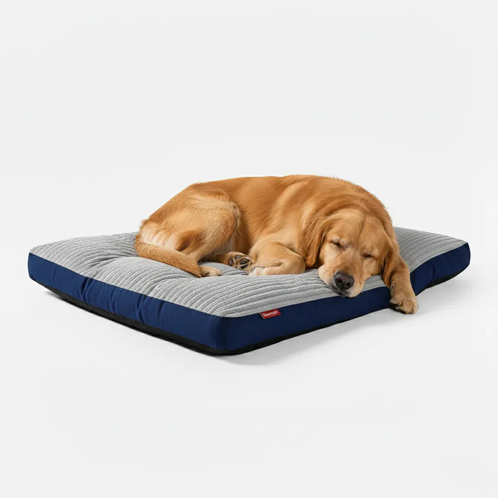 Dog Bed Memory Foam Washable Cover Waterproof Raised Edges Medium Large XL Non-Slip Orthopaedic Pet Cushion Mat Indoor | Koossa