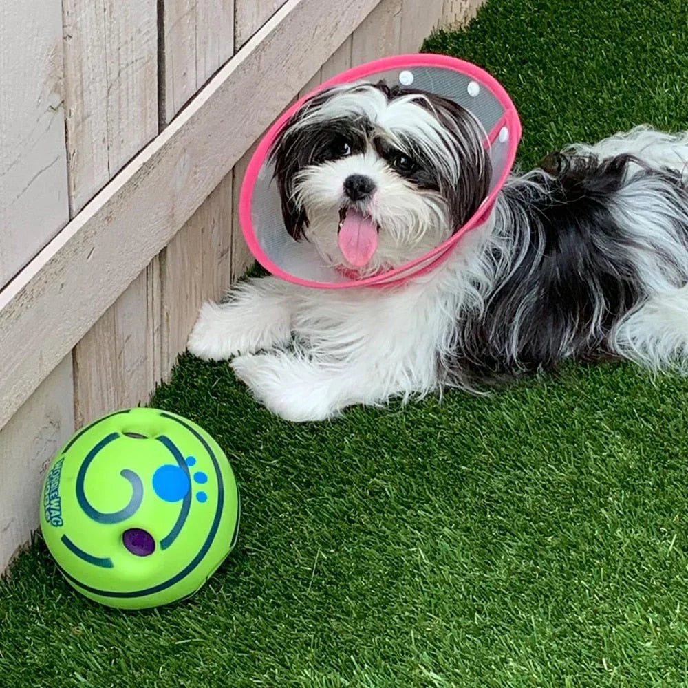 Interactive Dog Ball Toy Sound Activated Motion Durable Chew Resistant Bright Colours Mental Stimulation Indoor Outdoor Play Small Medium Large Dogs | Koossa