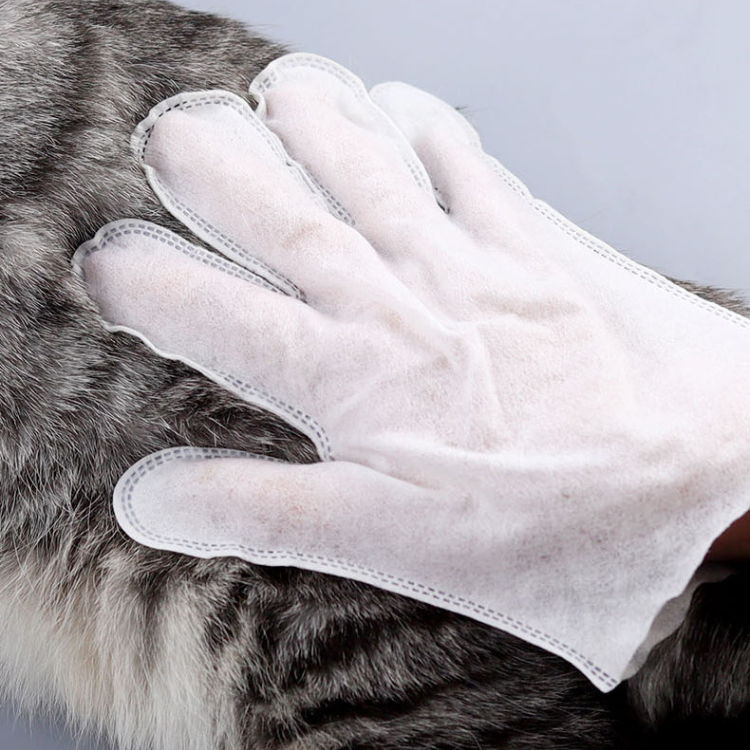 Pet Disposable Glove Wipes 6 18 36 Pieces Waterless Paw Fur Clean Cat Dog Grooming Mitt No Rinse Hygiene Wipe | Koossa