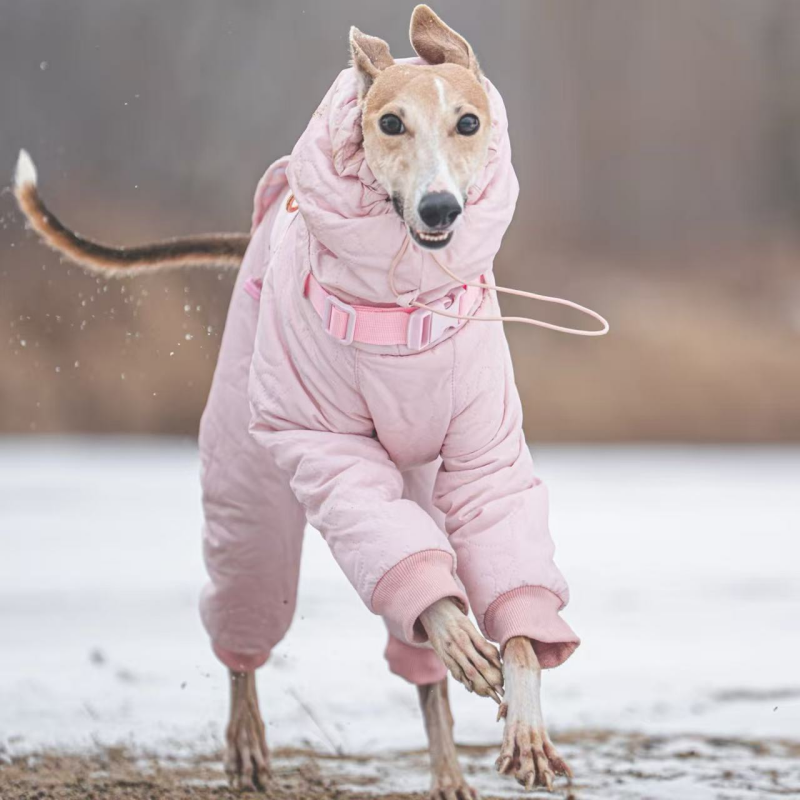 Dog Padded Coat Parka Fleece Lined Waterproof Whippet Greyhound S to 4XL Leash Ring High Neck Windproof | Koossa