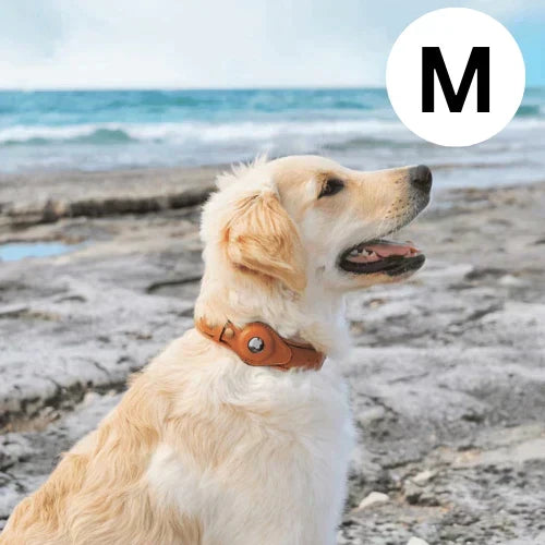 Dog GPS Collar Tracker No Subscription Real-Time Location Finder for Dogs Small Medium Large Outdoor Hiking Walking Training Pet Safety | Lonoma