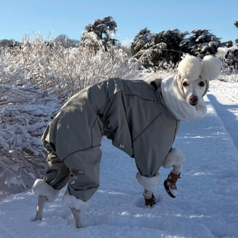 Dog Winter Onesie Fleece Lined Waterproof Whippet Greyhound Sizes 1–10 Leash Opening Windproof Suit | Koossa
