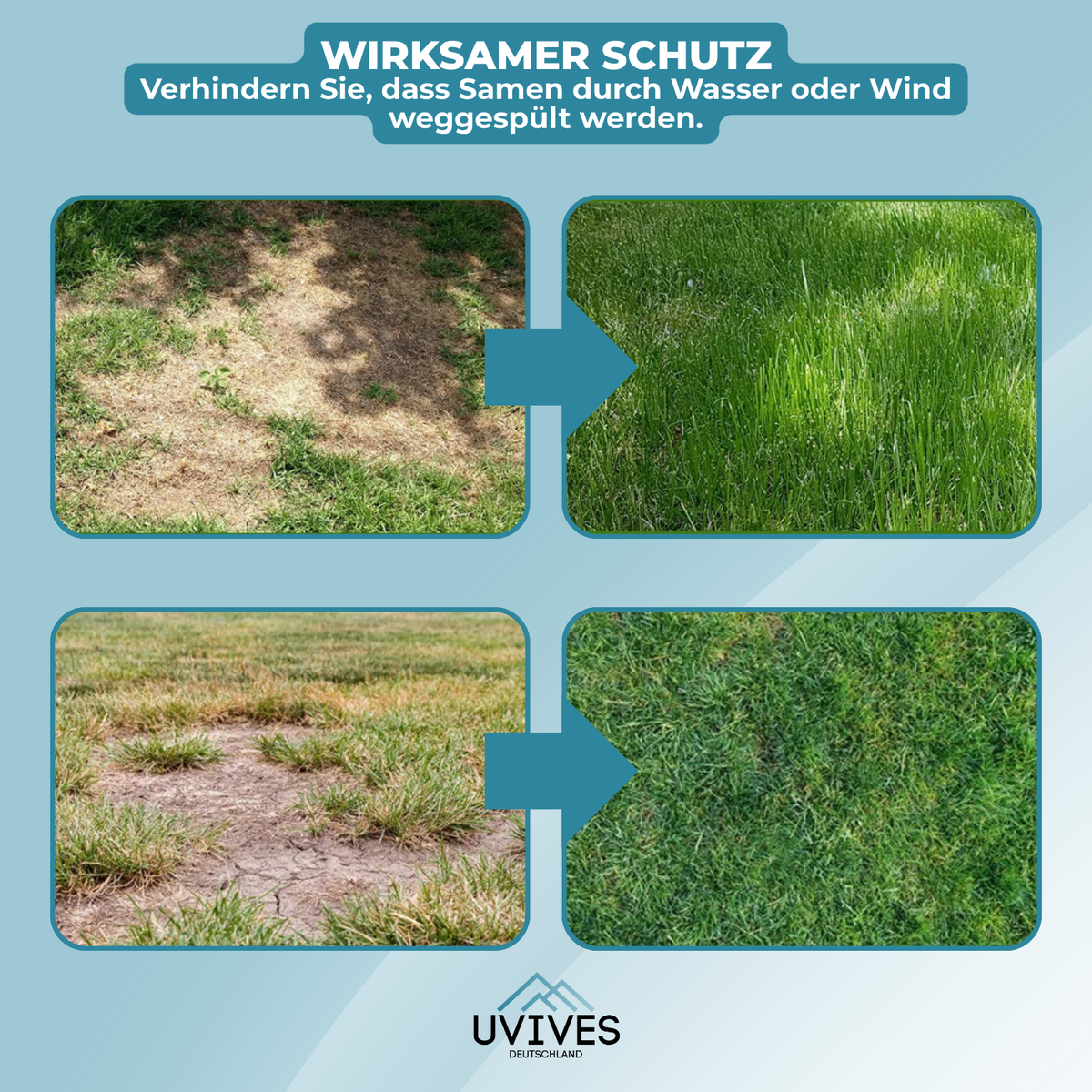 Biodegradable Grass Seed Mat for Quick Lawn Growth - Easy Roll-Out Lawn Solution for Garden & Yard - Wind and Water Resistant | Lonoma