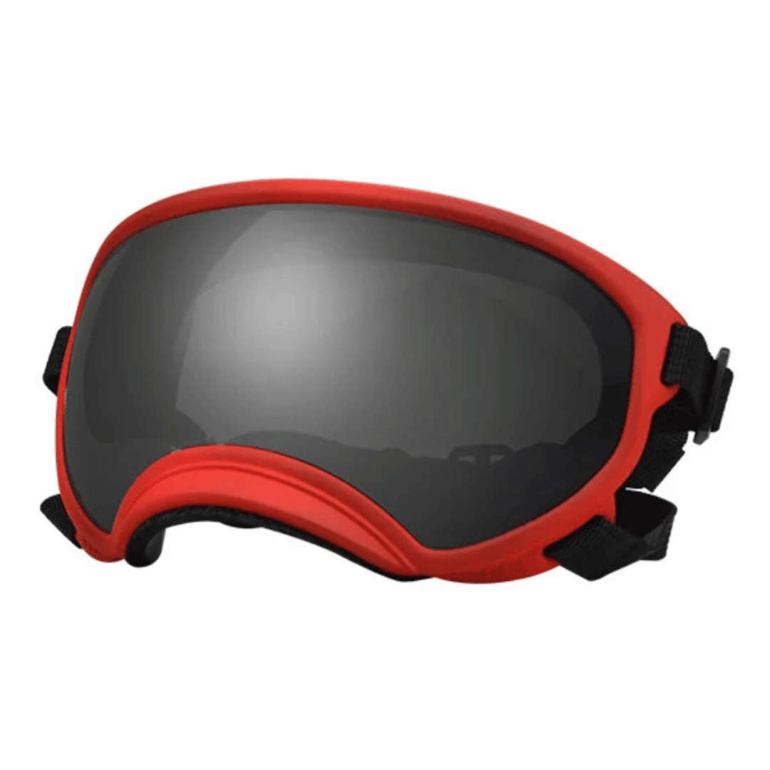 Dog Goggles UV Protection Adjustable Windproof Scratch-Resistant Small Medium Large Dog Sunglasses Outdoor Eye Protection Hiking | Koossa