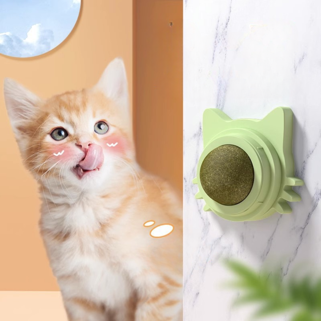 Cat Catnip Toy Natural Plant Self-Adhesive Wall Mount Cat Tree Chew Toy Indoor Kitten Dental Stick Stress Relief | Koossa