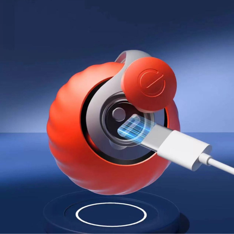 Cat Interactive Electric Ball USB Rechargeable LED Light Motion Sensor Auto Rolling Indoor Kitten Hunt Play Toy | Koossa