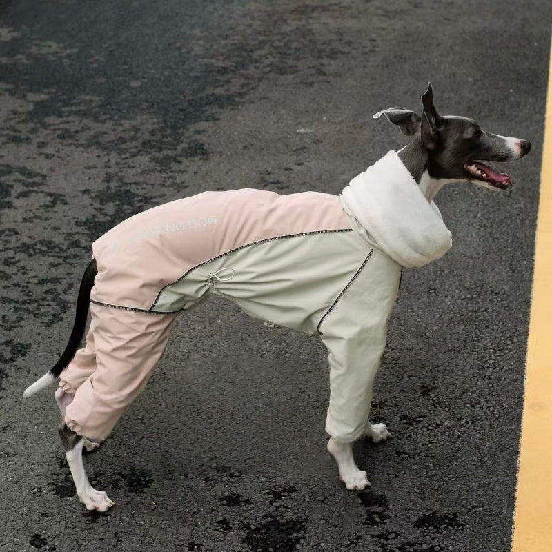 Dog Winter Onesie Fleece Lined Waterproof Whippet Greyhound Sizes 1–10 Leash Opening Windproof Suit | Koossa