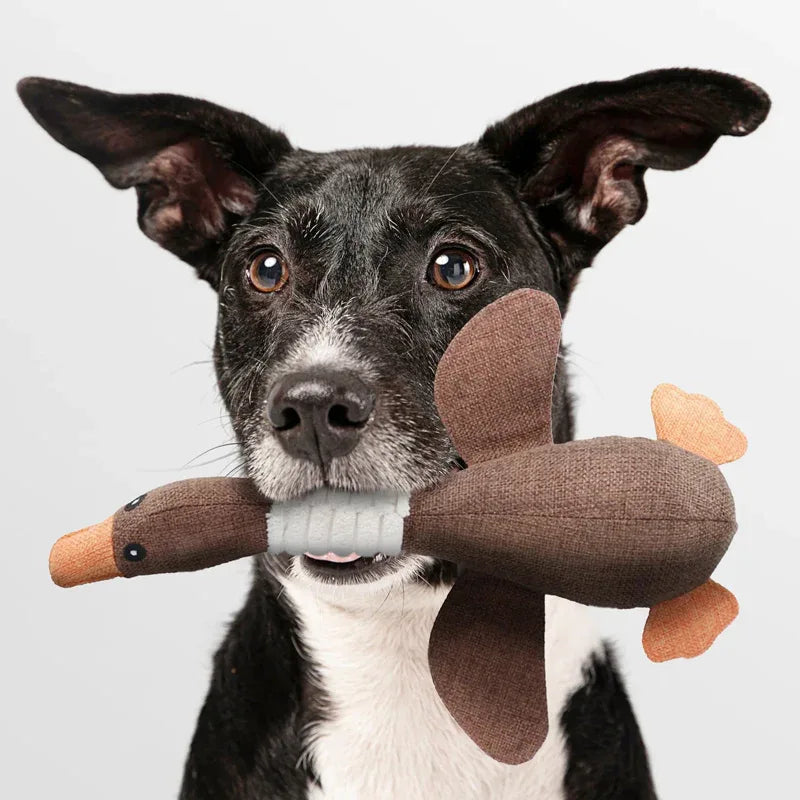 Dog Chew Toy Durable Rubber Goose Dental Care Non-Toxic Puppy Teething Strong Jaw Long-Lasting | Koossa