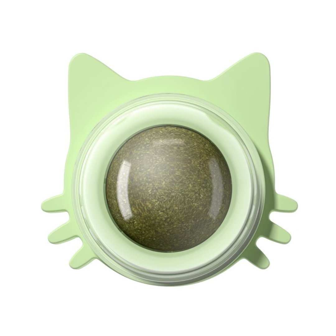 Cat Catnip Toy Natural Plant Self-Adhesive Wall Mount Cat Tree Chew Toy Indoor Kitten Dental Stick Stress Relief | Koossa