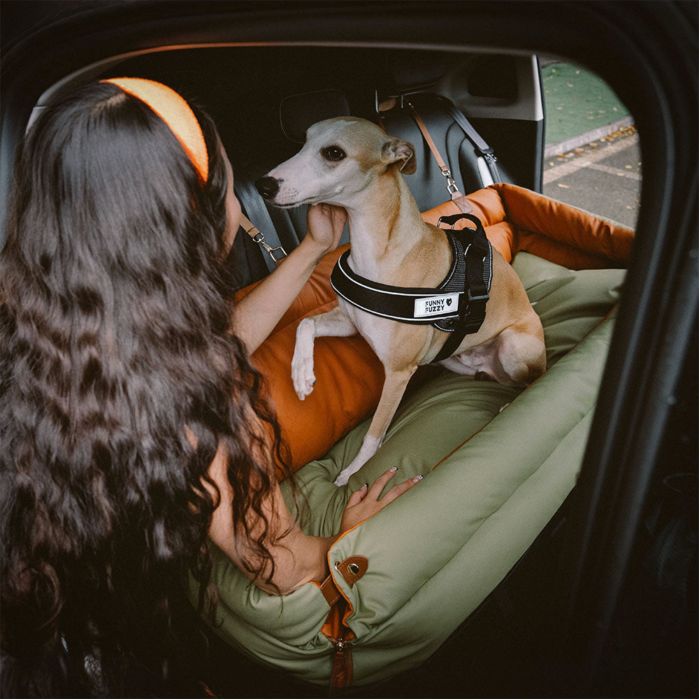 Dog Car Seat Booster Faux Leather Padded Small Medium Dogs 21.7x19.7x17.7 in Safety Leash Anti-Slip Travel Bed | Koossa