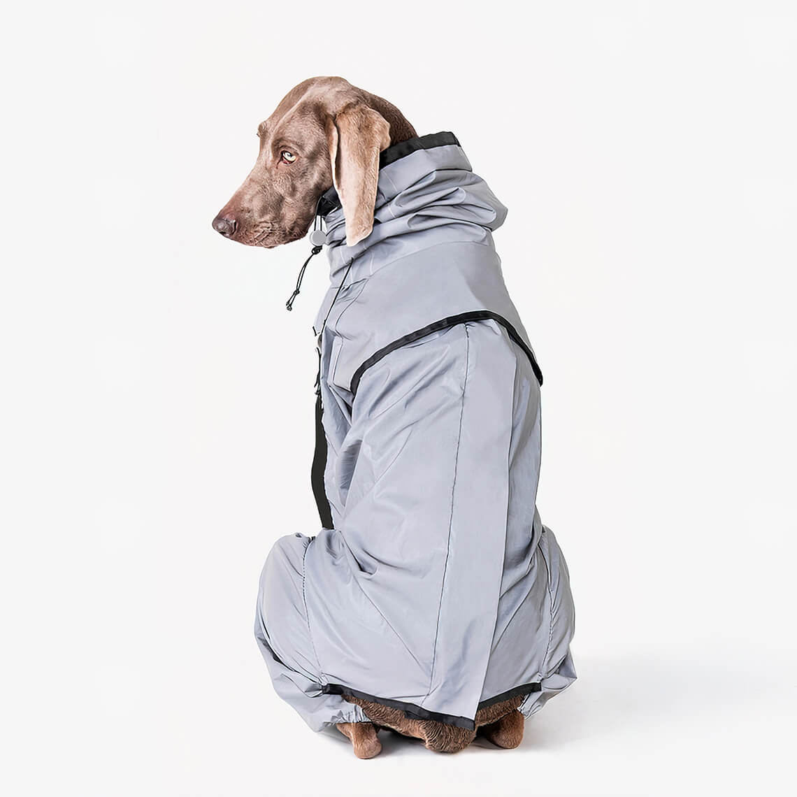 Dog Raincoat Reflective Waterproof Polyester All-Around Visibility Windproof UV Protection Adjustable Dog Jacket Coat | Koossa