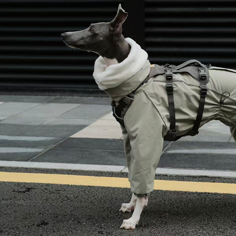 Dog Winter Onesie Fleece Lined Waterproof Whippet Greyhound Sizes 1–10 Leash Opening Windproof Suit | Koossa