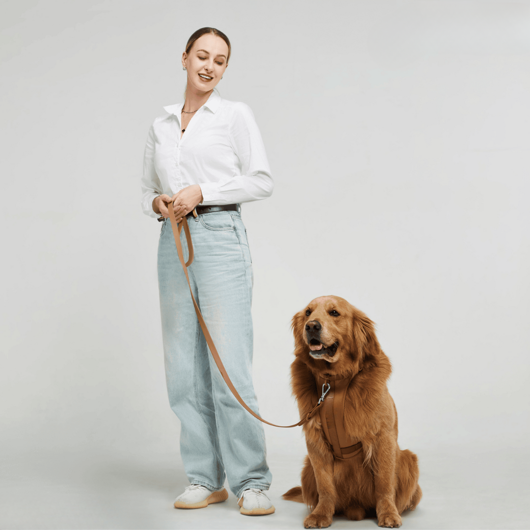 Dog Harness Lead Set No-Pull Padded Neoprene Small Medium Large with Matching Lead Poo Bag Holder Adjustable Walking Kit | Koossa