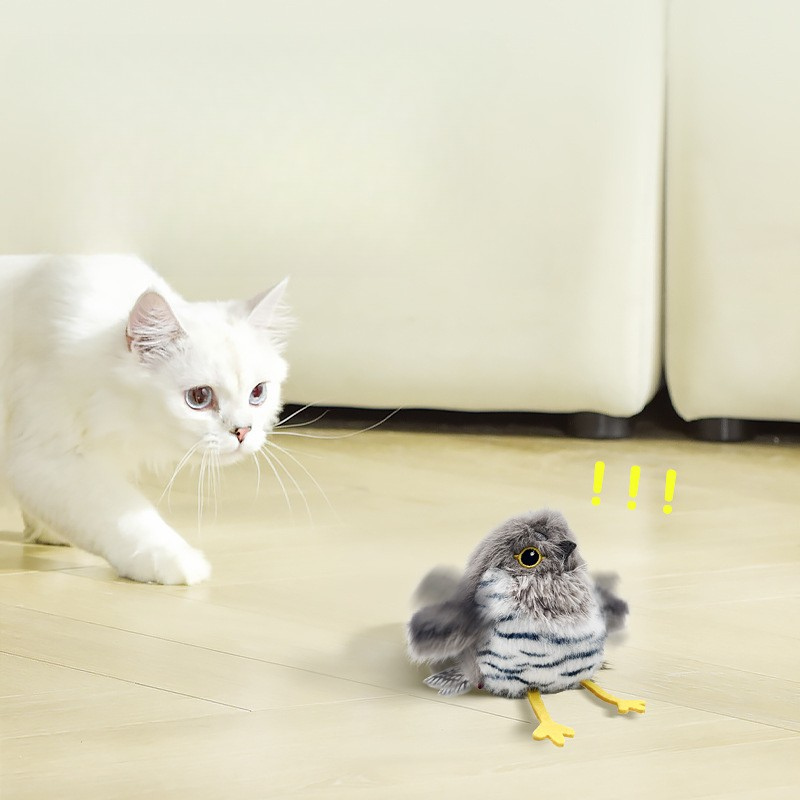 Cat Singing Bird Toy Plush Touch Activated Chirping Sound Realistic Owl Toucan Sparrow Indoor Kitten Hunt Play | KoossaCat Singing Bird Toy Plush Touch Activated Chirping Sound Realistic Owl Toucan Sparrow Indoor Kitten Hunt Play | Koossa
