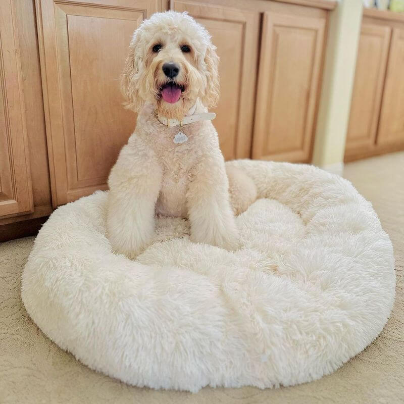 Dog Bed Donut Faux Fur Warm Washable Anti-Anxiety Calming Pet Bed Non Slip Base XS XXL Puppy Sleeping Cushion | Koossa