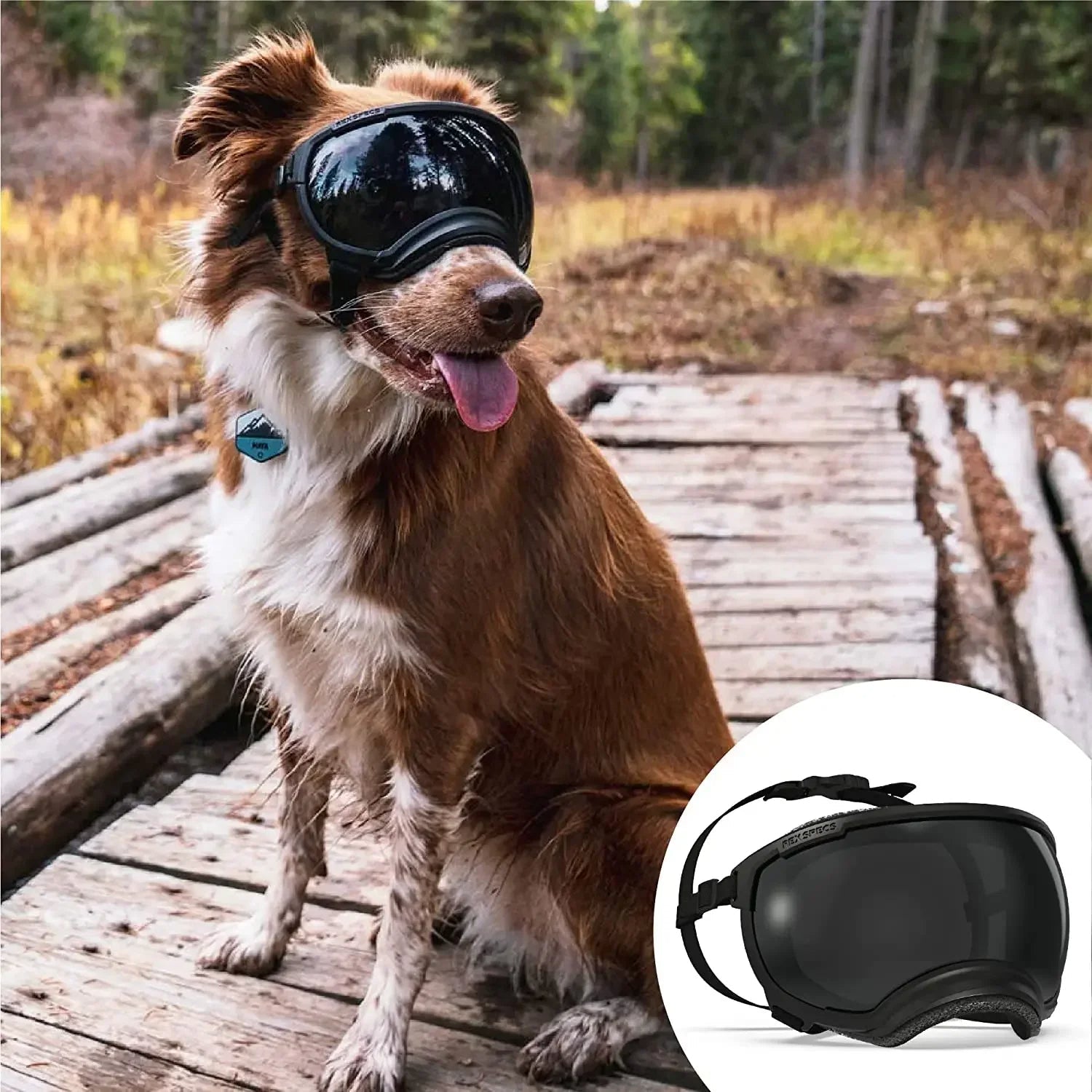 Dog Goggles UV Protection Adjustable Windproof Scratch-Resistant Small Medium Large Dog Sunglasses Outdoor Eye Protection Hiking | Koossa