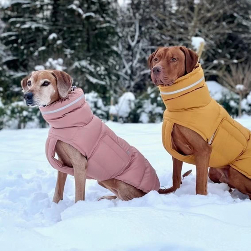 Dog Padded Jacket Vest Polyester Windproof Waterproof S to XL Whippet Greyhound Winter Coat Zip Button | Koossa