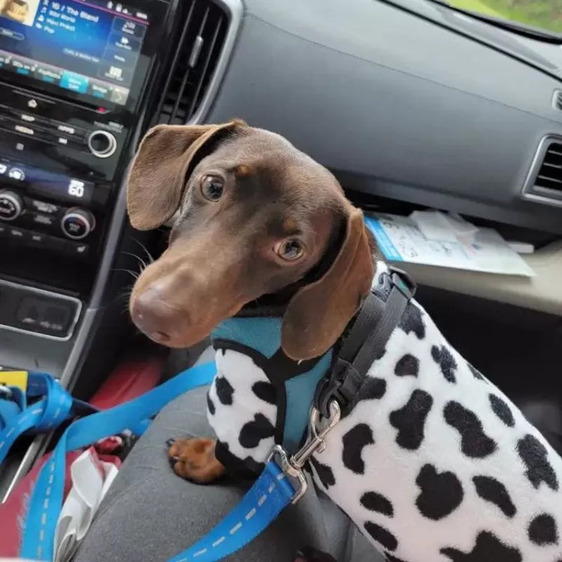 Dachshund Pyjamas Fleece Cow Print Full Body Jumpsuit S–XL Winter Dog Sleepwear Onesie Cold Weather | Koossa