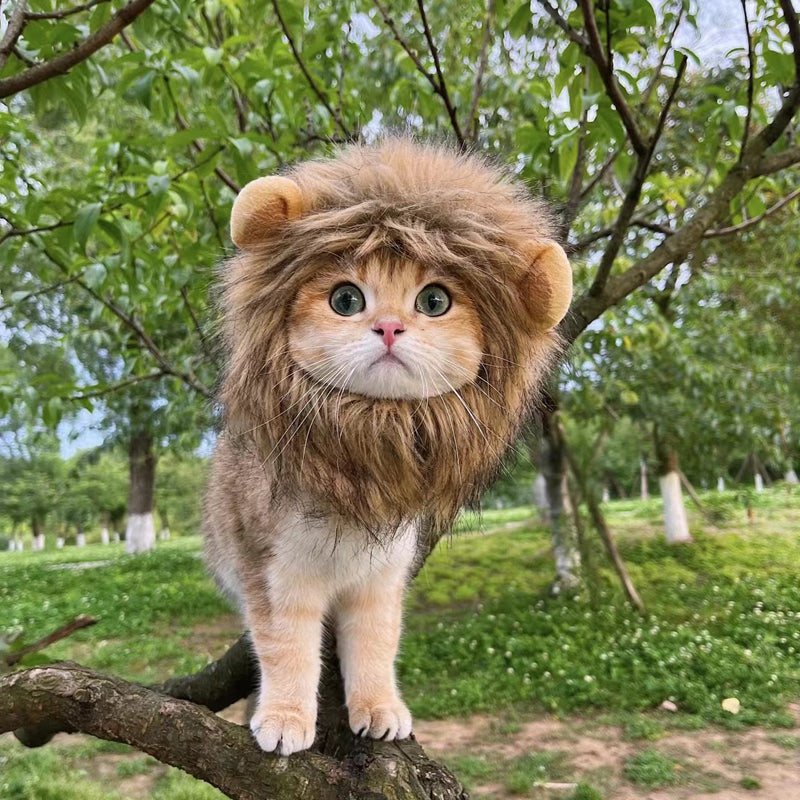 Cat Lion Mane Costume Wig Faux Fur S M L Adjustable Velcro Halloween Party Dress-Up Small Dog Cat Hat | Koossa