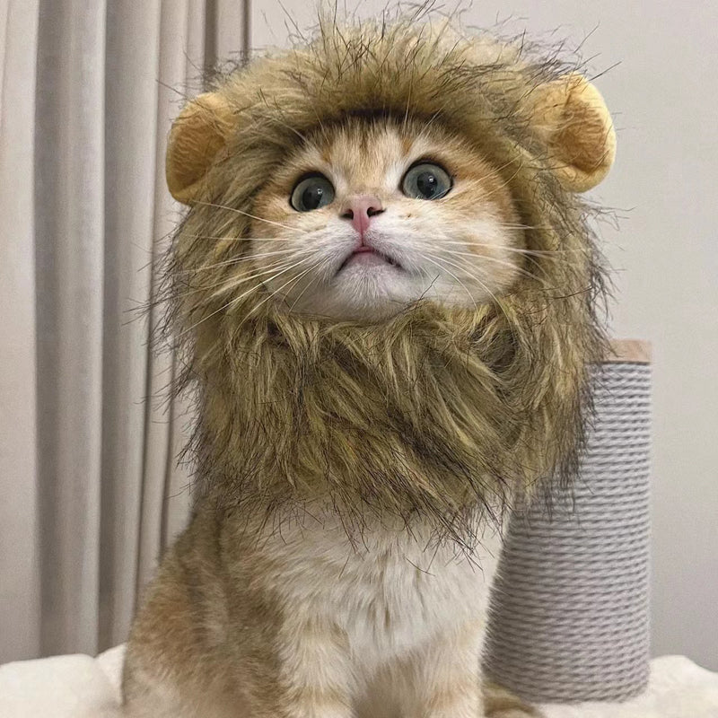 Cat Lion Mane Costume Wig Faux Fur S M L Adjustable Velcro Halloween Party Dress-Up Small Dog Cat Hat | Koossa