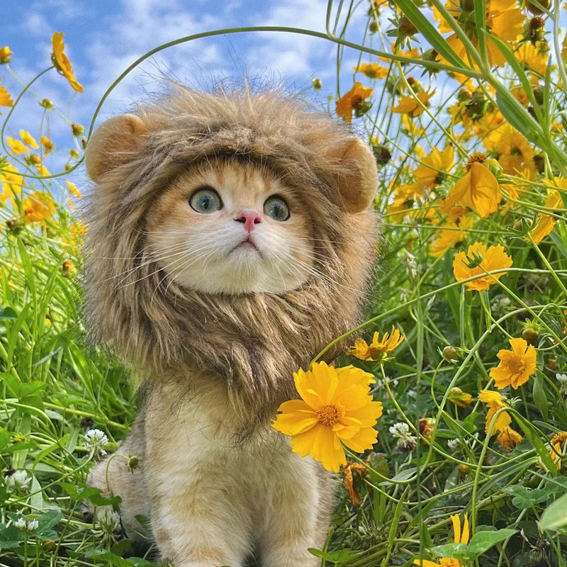 Cat Lion Mane Costume Wig Faux Fur S M L Adjustable Velcro Halloween Party Dress-Up Small Dog Cat Hat | Koossa