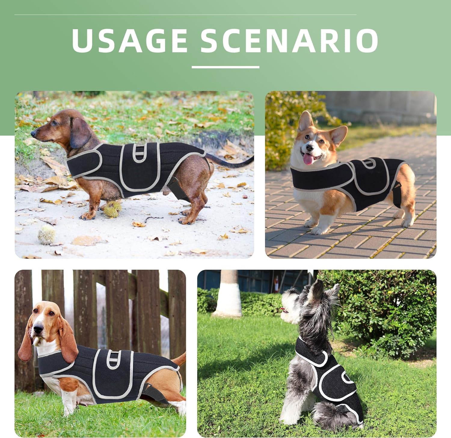 Dog Back Brace 6 Spring Strips Spinal Support Dachshund IVDD Arthritis Recovery Vest Spine Stabiliser Small Dog Lumbar | Koossa