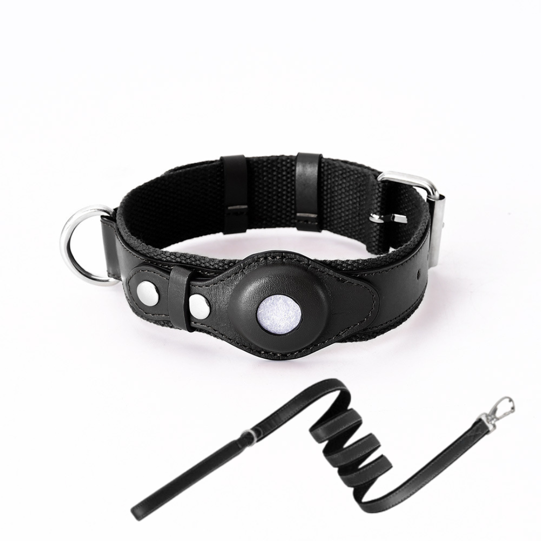Dog GPS Collar Tracker No Subscription Real-Time Location Finder for Dogs Small Medium Large Outdoor Hiking Walking Training Pet Safety | Lonoma