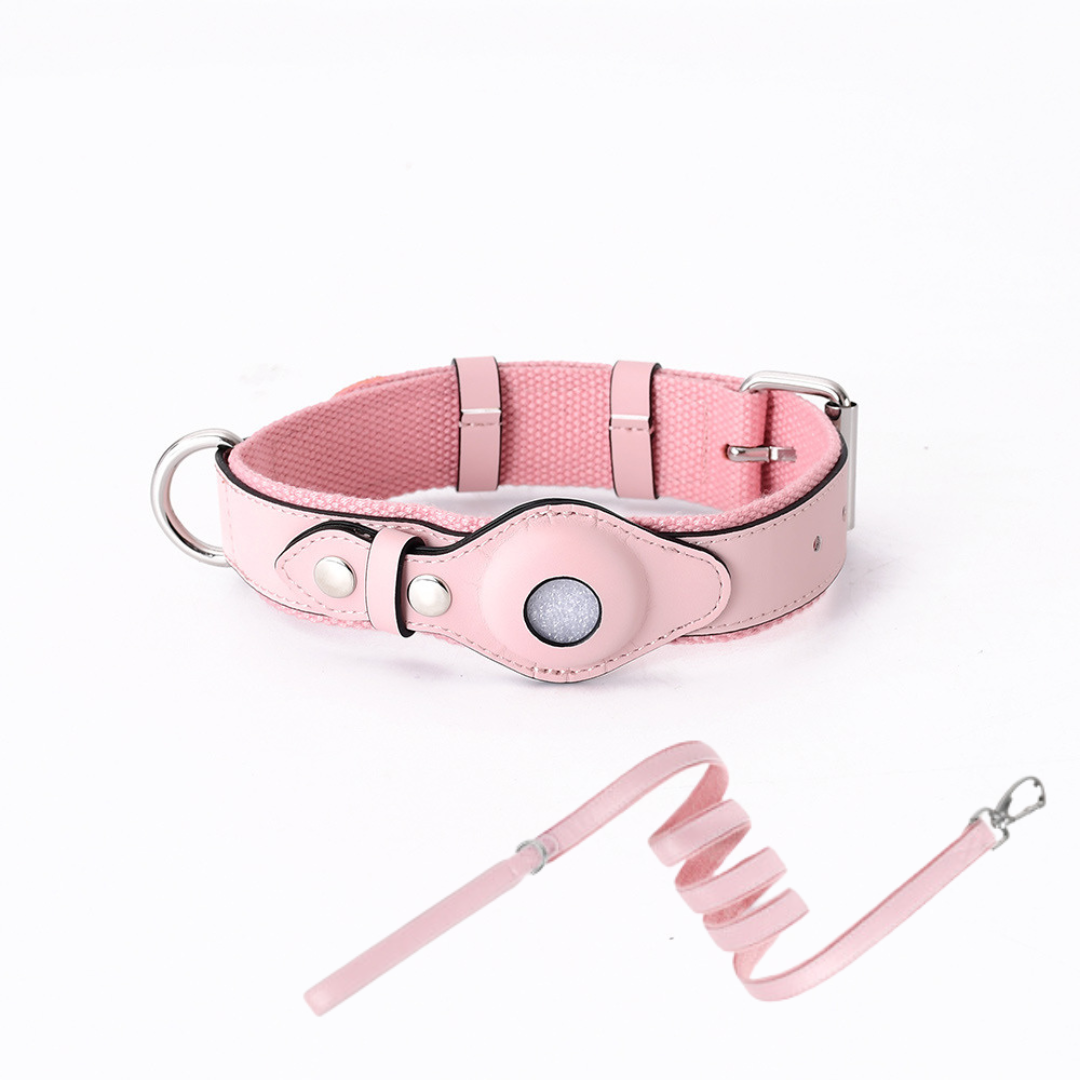 Dog GPS Collar Tracker No Subscription Real-Time Location Finder for Dogs Small Medium Large Outdoor Hiking Walking Training Pet Safety | Lonoma
