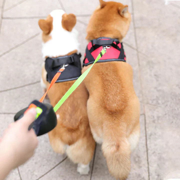 Dog Lead Double Retractable 3m Dual Leash 360° Swivel Two Dogs Tangle-Free LED Light Night Walking | Koossa