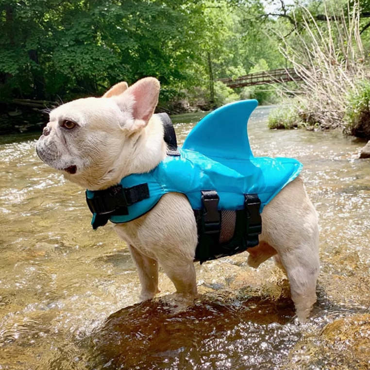 Dog Life Jacket Shark Fin Buoyant Diving Fabric French Bulldog Swim Vest Quick-Release Buckle Grab Handle D-Ring Water Safety | Koossa