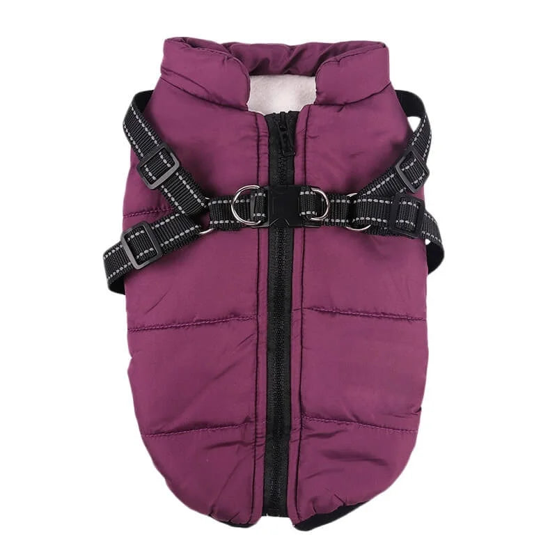 Dog Jacket Harness Integrated Padded Waterproof Dachshund Winter Coat Reflective Quilted Vest Small Dog Puppy Cold Weather | Koossa
